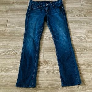 Pilcro and the Letterpress Medium Wash Low Rise Skinny Jeans / Size 26